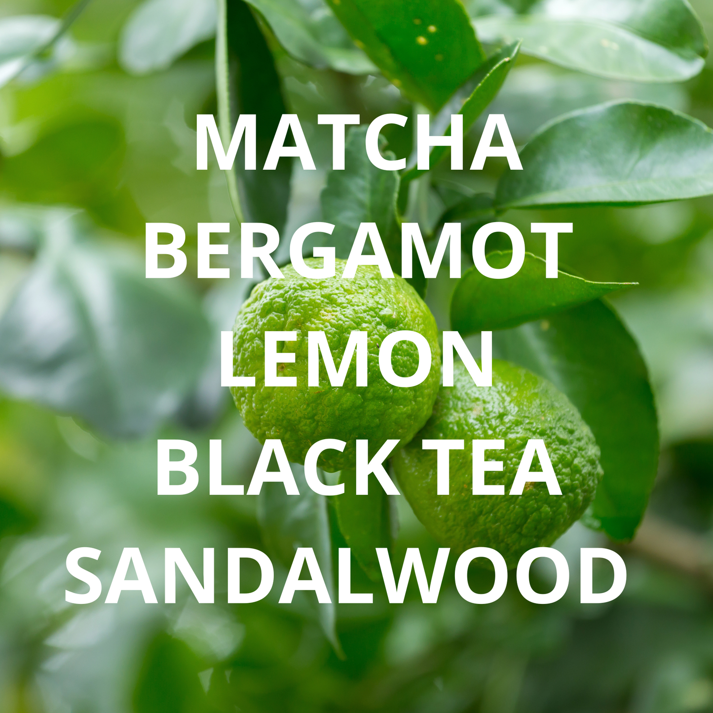 Green Tea & Bergamot Candle