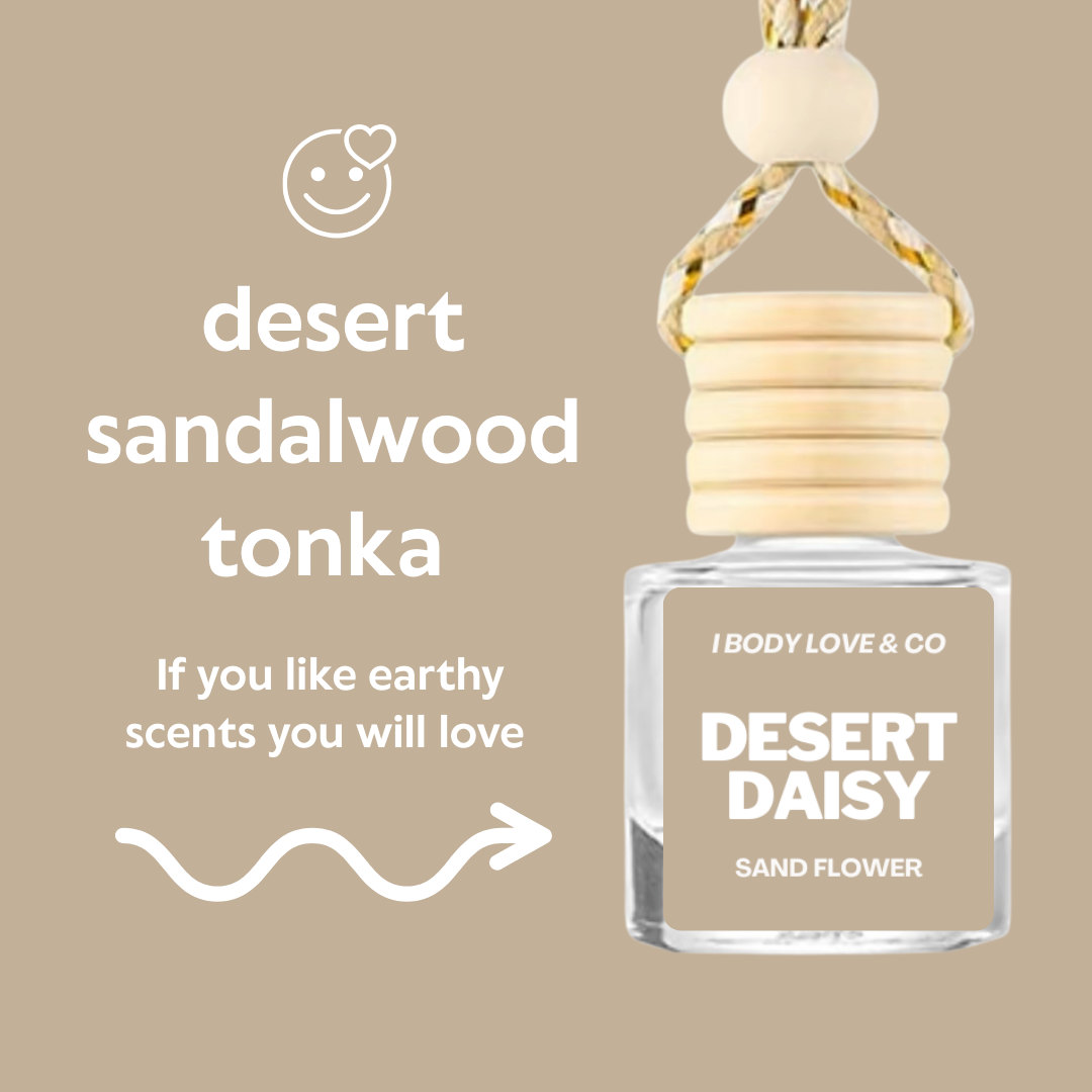 Car Freshener, Car Diffuser, Book Lover Scented Car Freshener, Eco Friendly Refillable car diffuser, Sustainable car air freshener, Luxury Scent