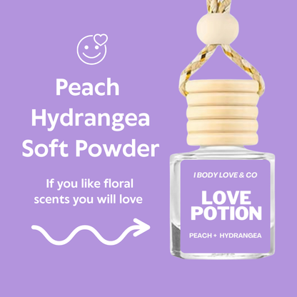 Car Freshener, Car Diffuser, Book Lover Scented Car Freshener, Eco Friendly Refillable car diffuser, Sustainable car air freshener, Luxury Scent